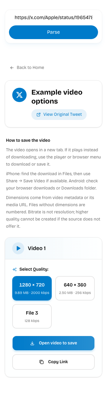 TwitterXZ result showing video dimensions, file options and saving help
