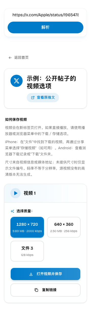 TwitterXZ 解析结果示例：实际视频尺寸、文件选项与保存说明